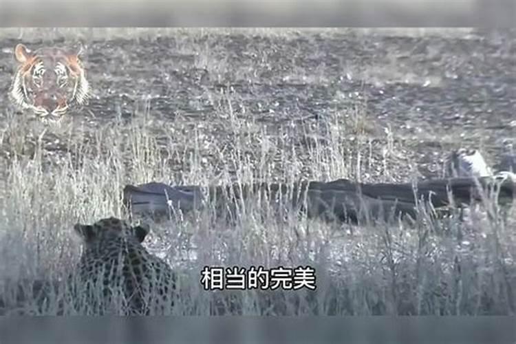 专业风水师有哪些比较出名呢