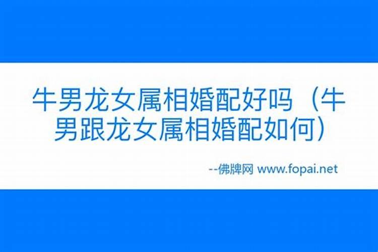 牛马真的不能结婚吗 牛男马女配吗？