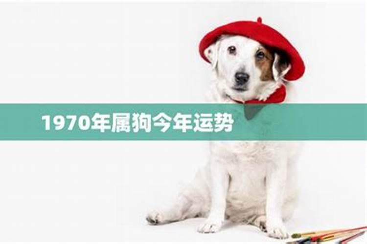 1970年属狗2025年运势及运程