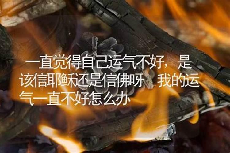 79年属羊2025年运势及运程