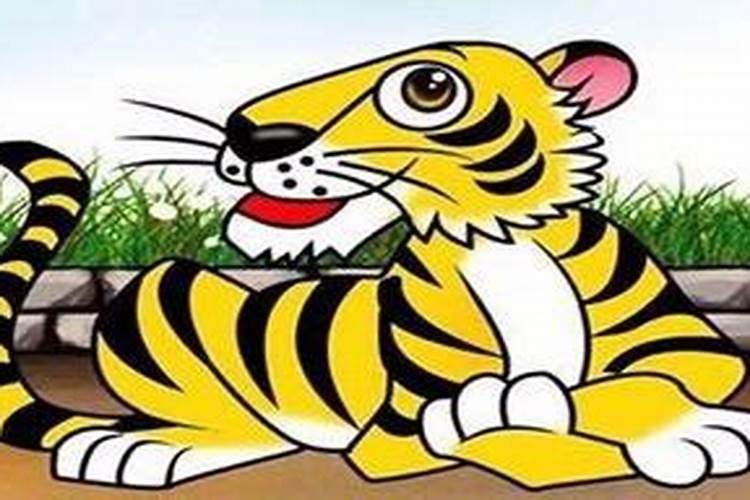 男人属虎,74年闰4月出生,命好吗
