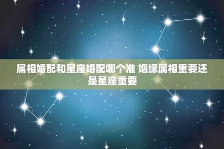 属相星座配对靠谱吗,星座和属相哪个更准