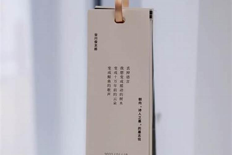 甘七是什么意思