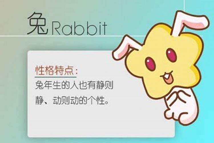 属兔的为什么不能于属鸡的在一起