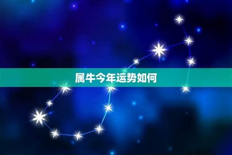 1985年属牛一生运势如何 85年属牛转大运年龄