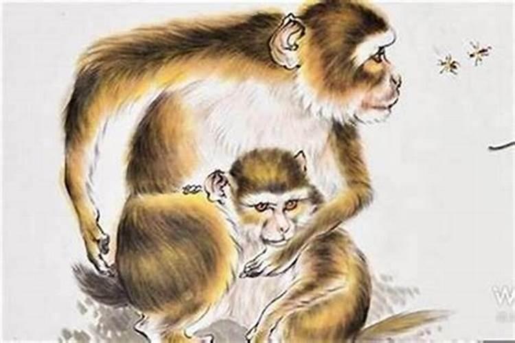 算婚姻:属鼠男和属猴女八字相合吗 婚姻好吗