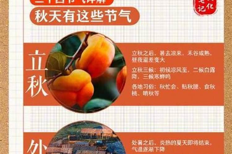 梦到一只小黑狗