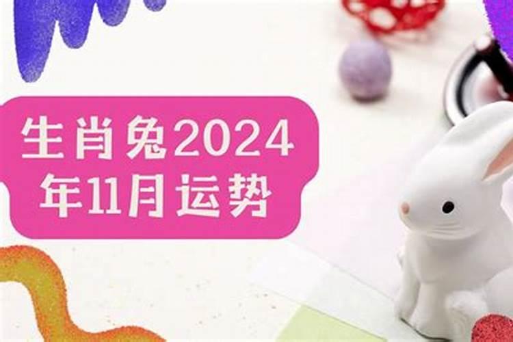 农历11月出生的属兔人命运