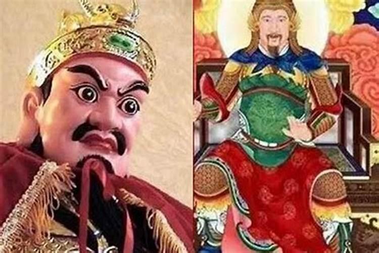 绿肖是哪几个生肖