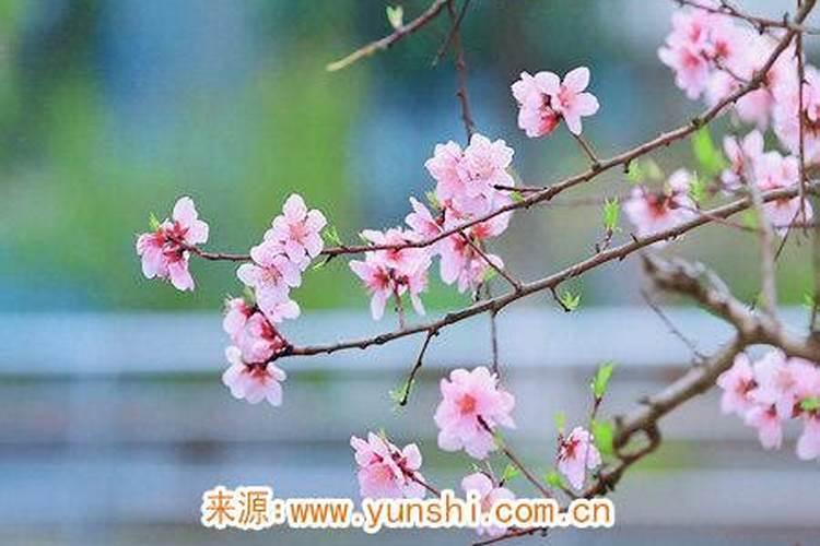 关于太岁的未解之谜:吃了真能长生？是否有生命？