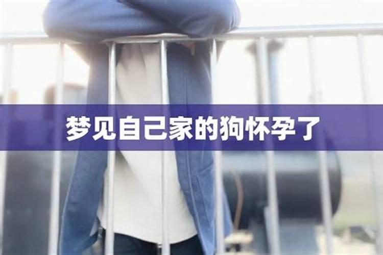梦见被蛇咬了手出血是什么征兆