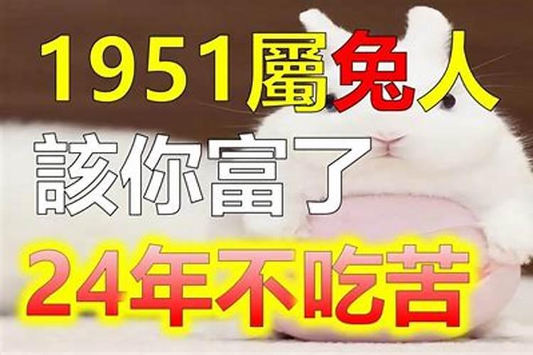 2025年属兔运势