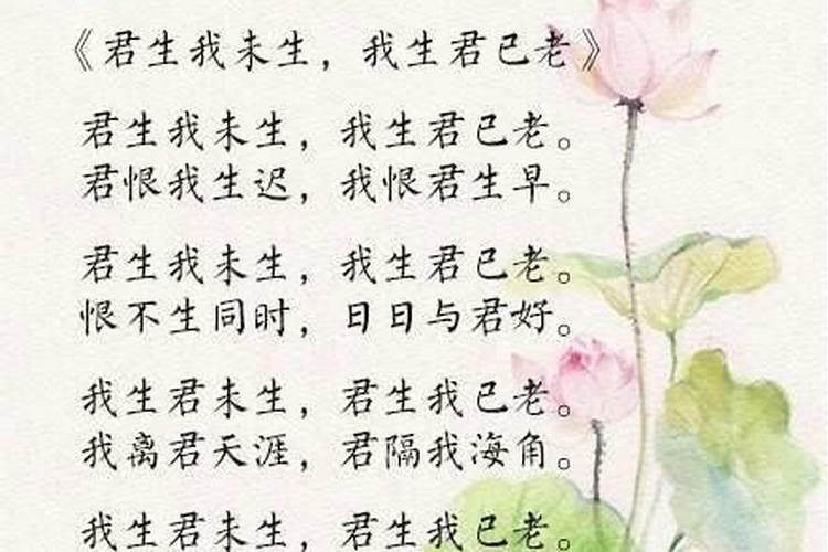 婚姻心寒绝望的诗句