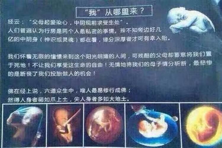 2025年属牛的运势