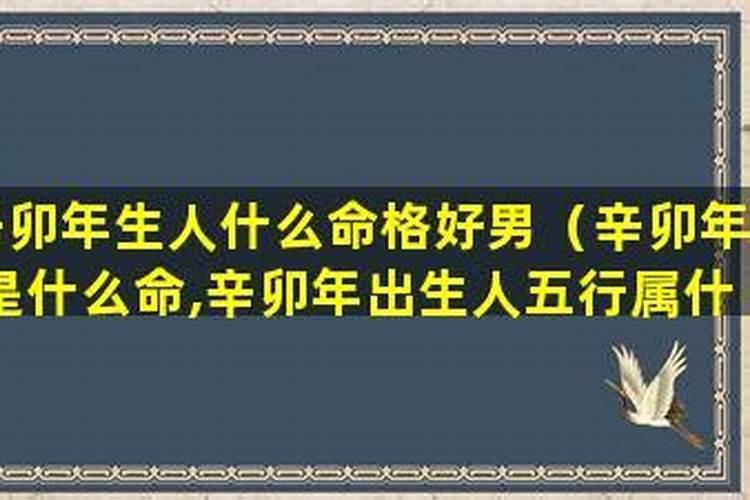 37岁属兔人2024年运势 1987年属兔人2024年运势运程