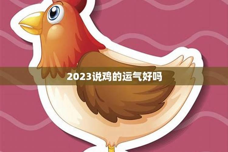 属鼠和属鸡的相冲吗