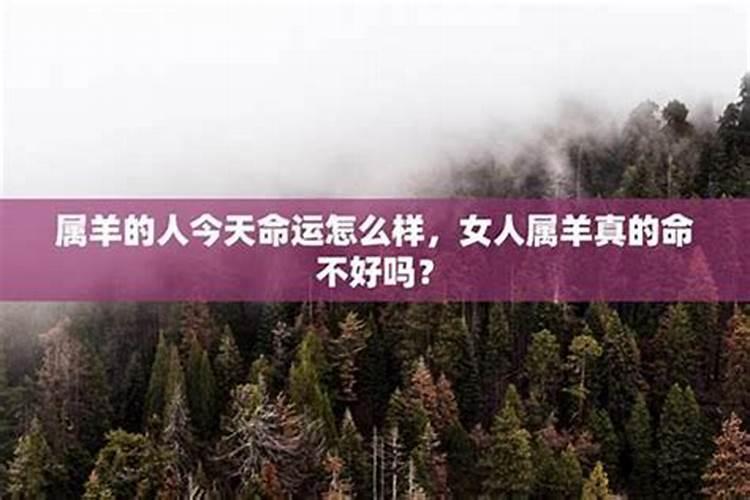 漂亮的女人为何都命苦啊？