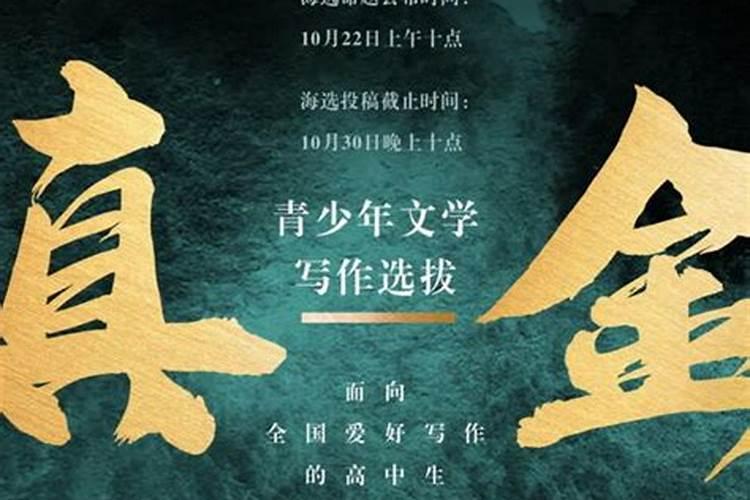不同年份属猪的人2024年运程