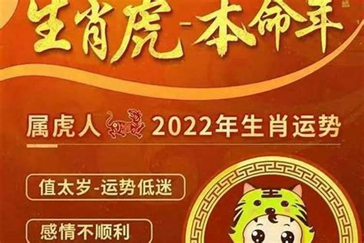 相帮还是相争？属兔人命中的贵人与小人