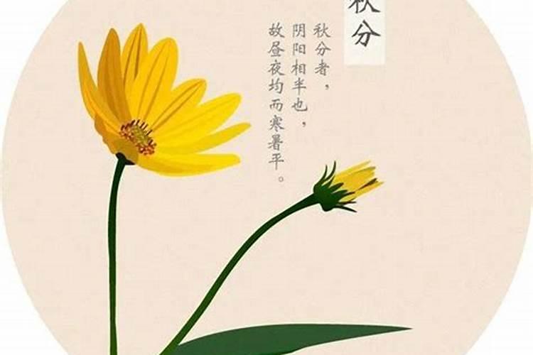 事业合伙人和带薪的区别