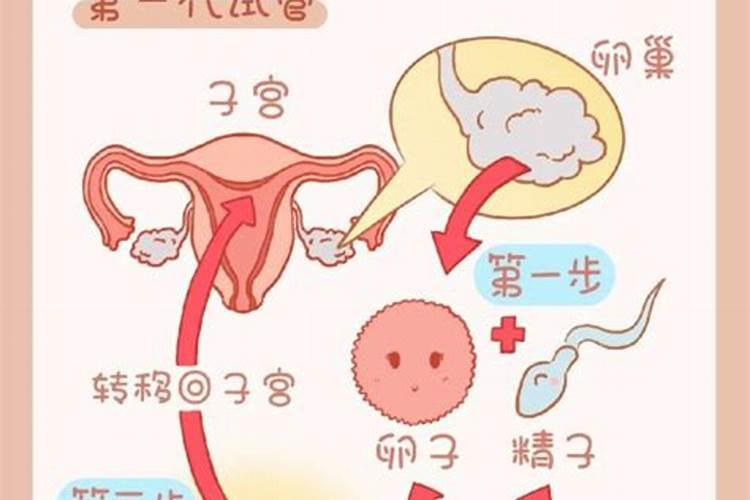怎么知道自己是什么命