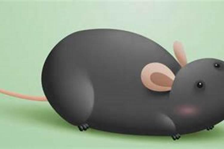 梦见床下有老鼠是什么意思？