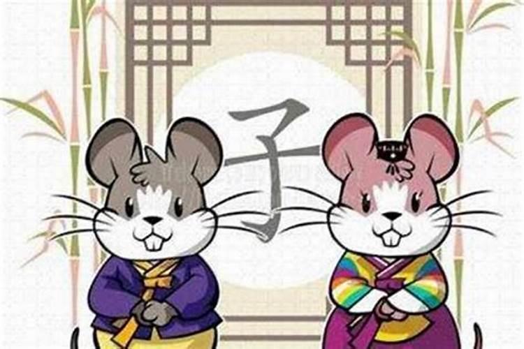 属狗男和属虎女