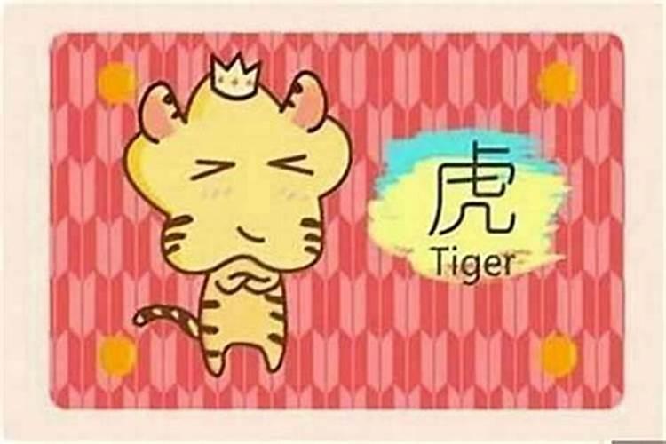 男属兔和女属虎的配吗