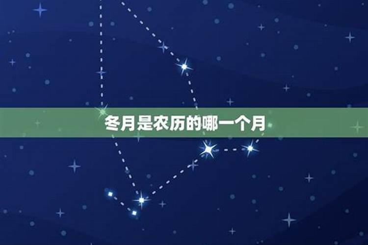 1983年冬月初九早上九点出生男运势？