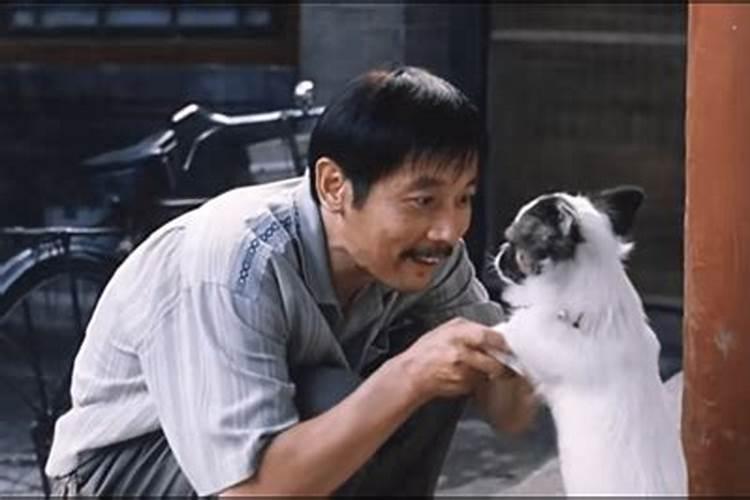 梦见熟人骂人