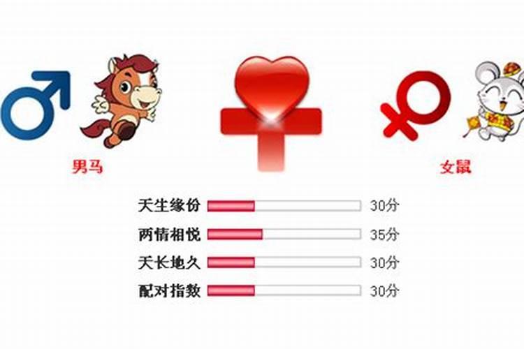 属鼠女和属马男合吗？