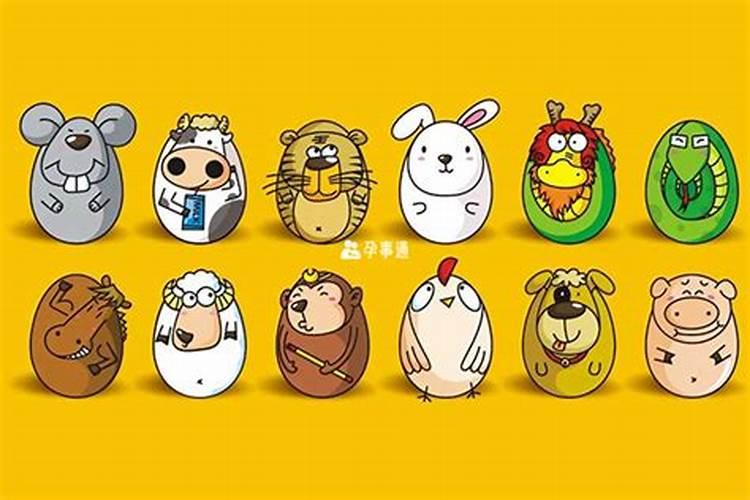 子时出生属狗男孩的命运好吗