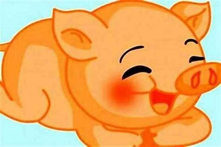 男女都是属猪结婚好吗 男女都属猪适合结婚吗