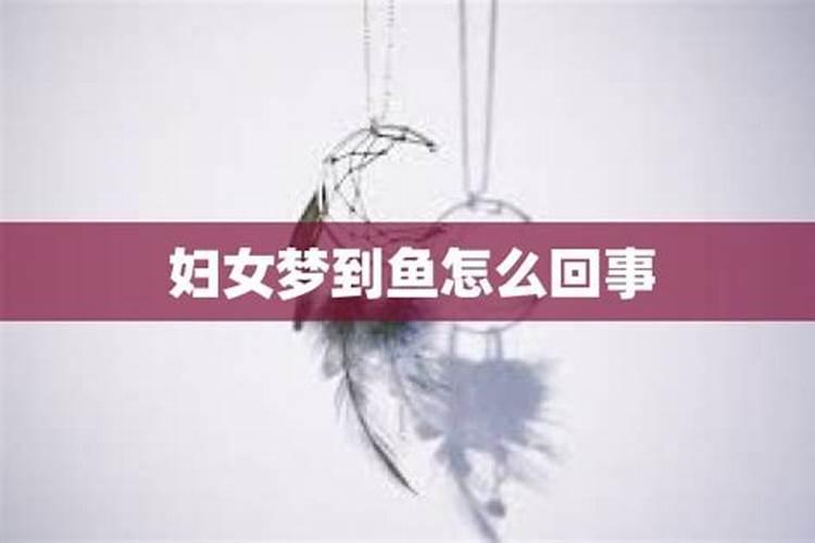 做梦梦到鱼是什么意思周公解梦梦到鱼的意思是什么