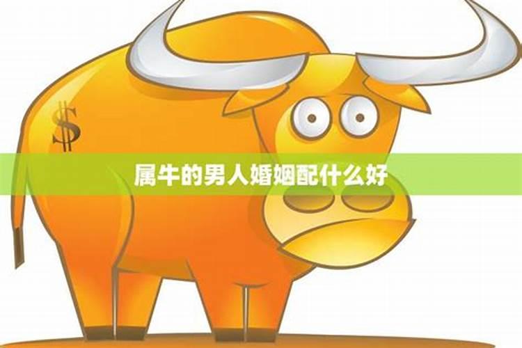 梦见下雨发大水淹大路的预兆