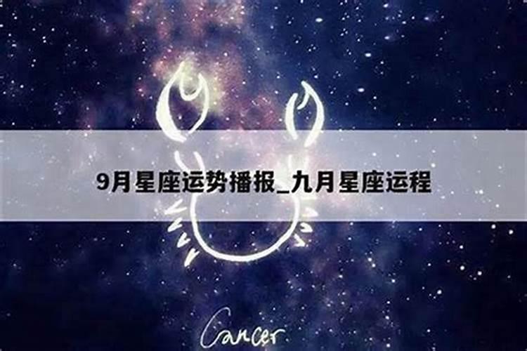 1995属猪女的一生命运和事业