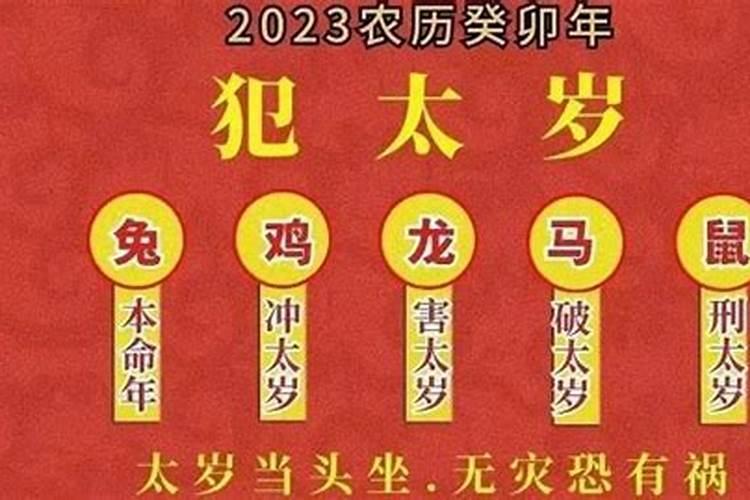 96年午时出生的男孩命运会怎样