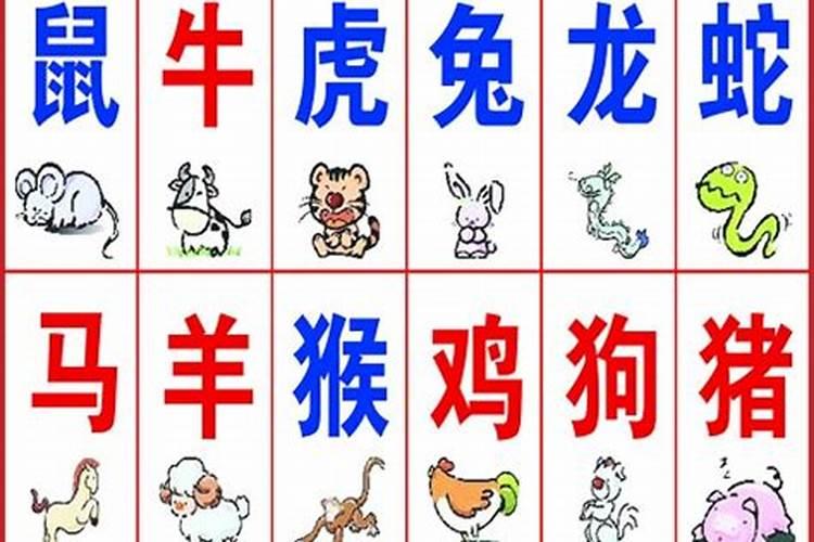十二生肖那个生肖那个是大王(老大)？