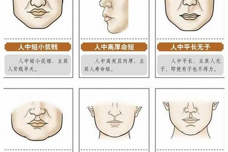 如何从人中看你的寿命长短