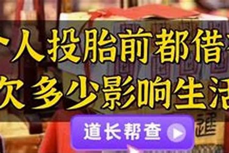 冬至和冬月是一个意思吗