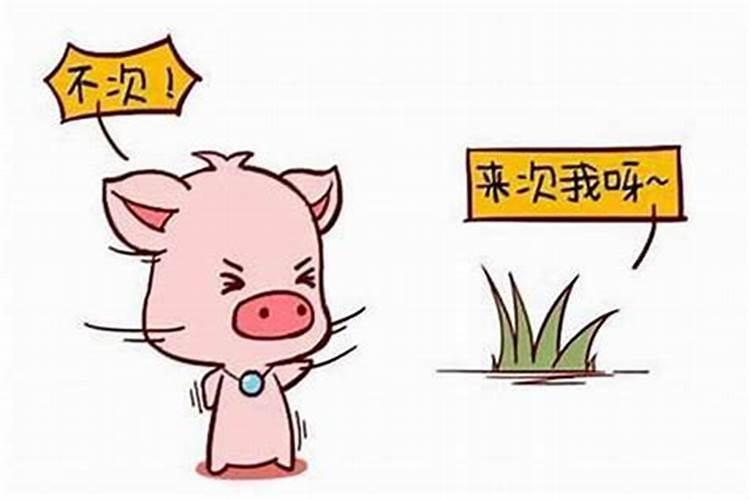 儿子为什么不愿意理会父亲？