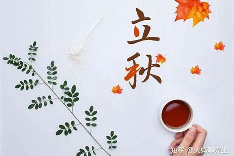 66年属马在2025年运气如何
