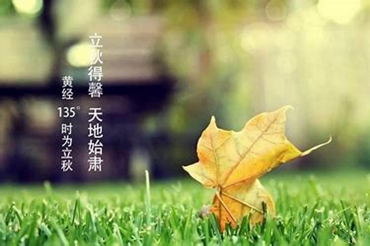 立秋生孩子有什么说法,秋占是指怀孕还是生产的时间