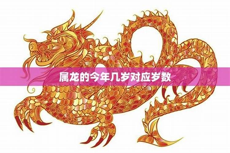 属龙女今年的运势和财运