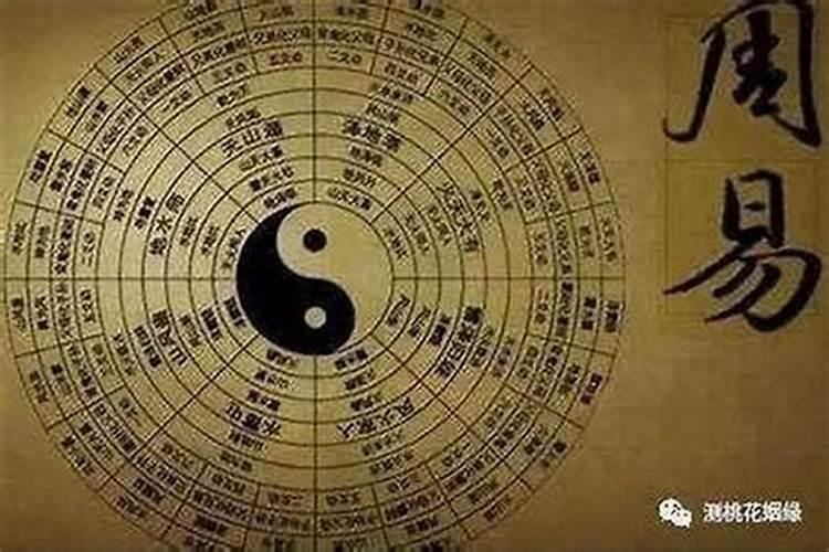 如何自学八字？