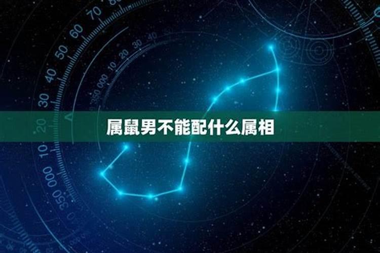 鼠和狗婚姻,八字合吗？男属鼠,女属狗,