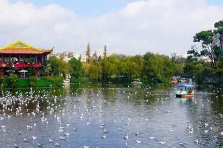 昆明八月十五好玩的地方 在昆明八月十五好玩的地方一览