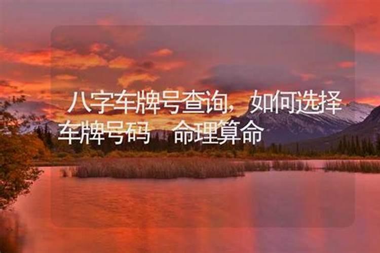 属兔的和什么属相最配、相克