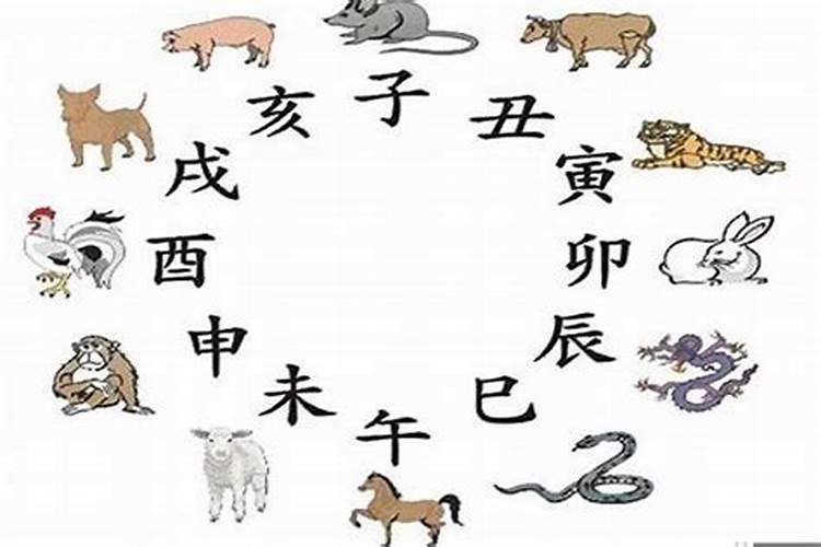 农历12月出生属羊人命好吗