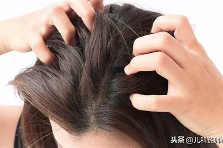梦见别人头上长虱子是什么意思？